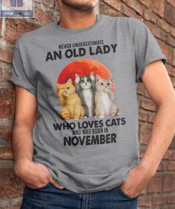 Never Understand An Old Lady Who Loves Cats And Was Born In November Shirt