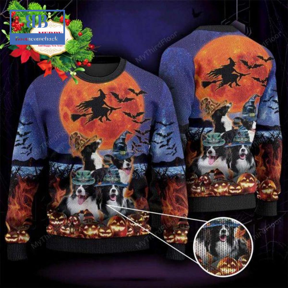 Border Collie Witch Halloween Ugly Christmas Sweater