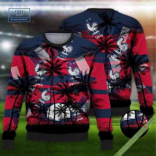 France Coconut World Cup 2022 Champions 3D Sweater And Hoodie T-Shirt